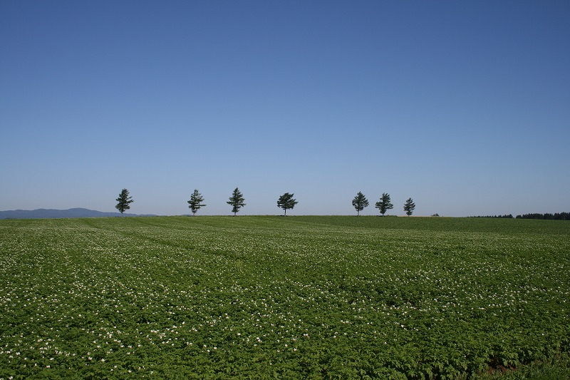 ファイル 158-1.jpg