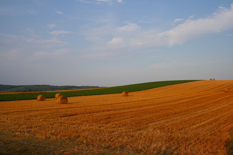 ファイル 158-2.jpg