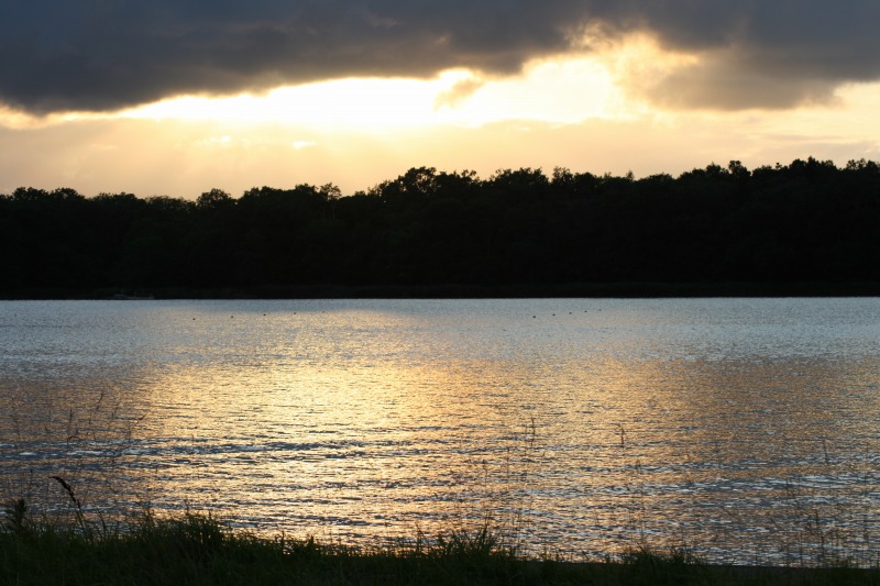 ファイル 159-1.jpg