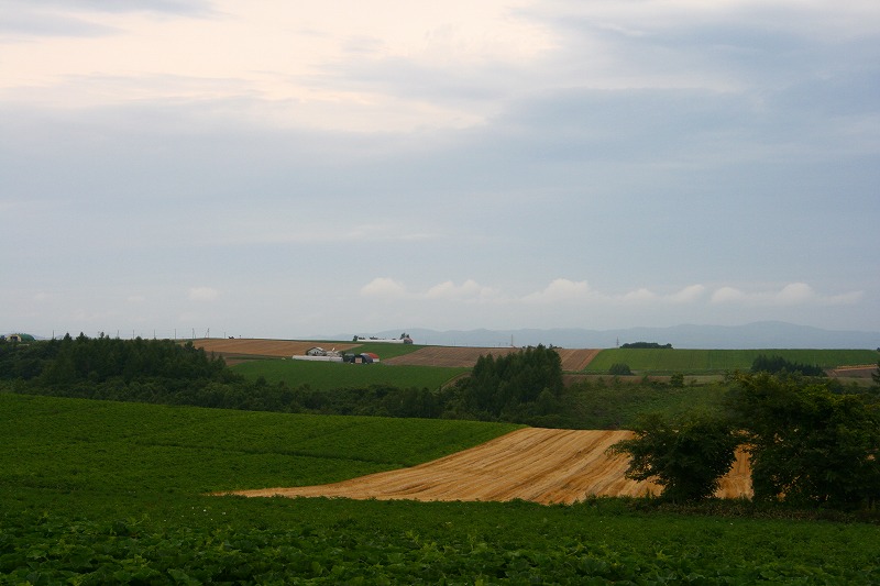 ファイル 161-2.jpg