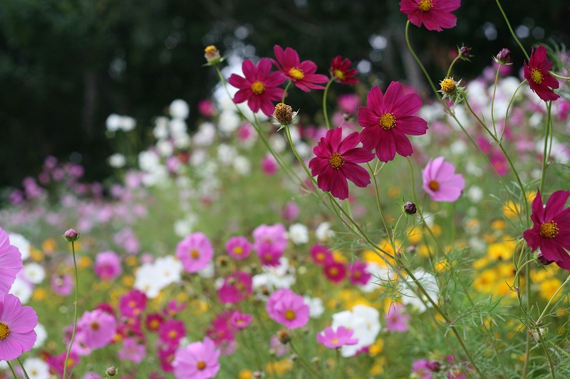 ファイル 161-3.jpg