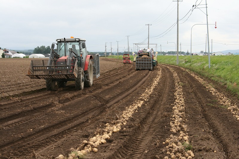 ファイル 162-1.jpg