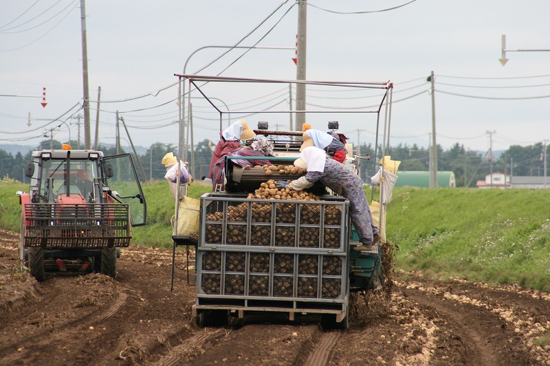 ファイル 162-2.jpg