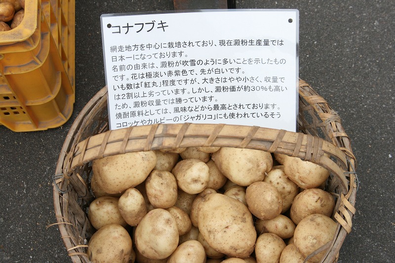 ファイル 163-1.jpg