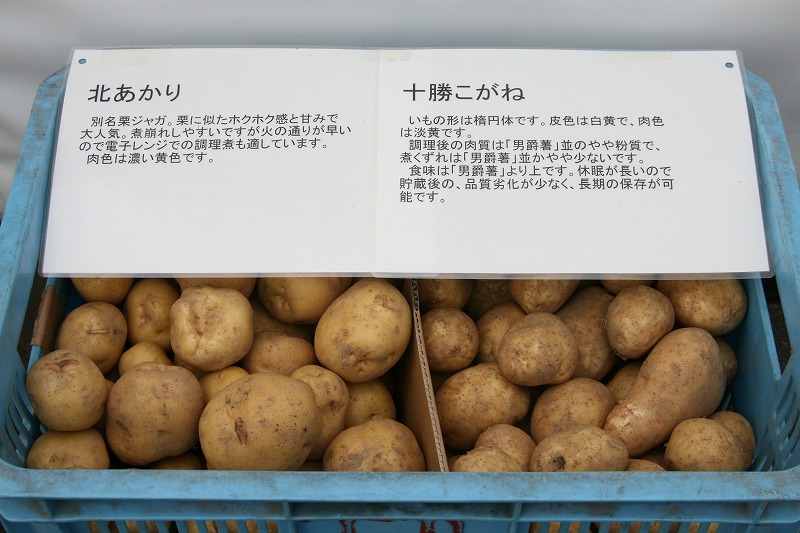 ファイル 163-2.jpg