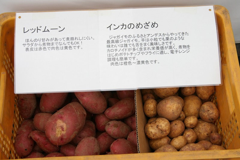 ファイル 163-3.jpg