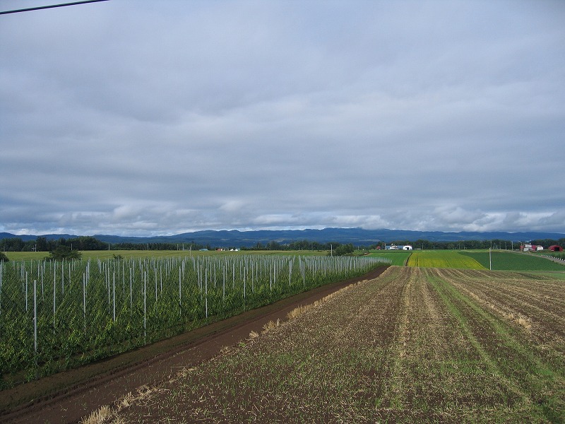 ファイル 164-1.jpg