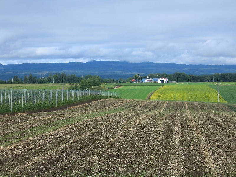 ファイル 164-2.jpg