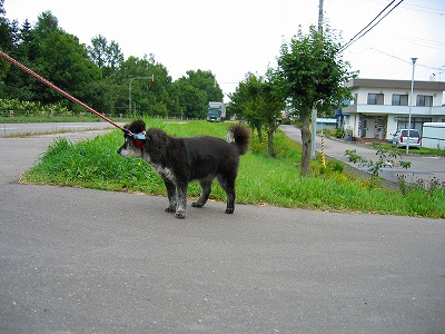 ファイル 165-1.jpg