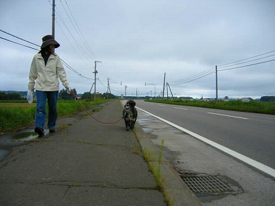 ファイル 165-2.jpg