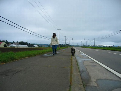 ファイル 165-3.jpg