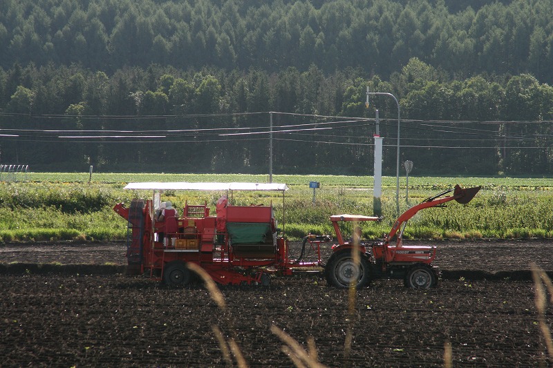 ファイル 167-1.jpg