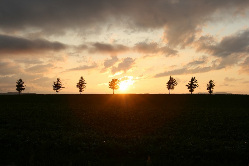 ファイル 168-1.jpg