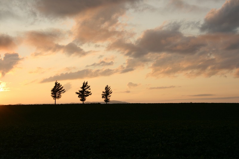 ファイル 168-2.jpg