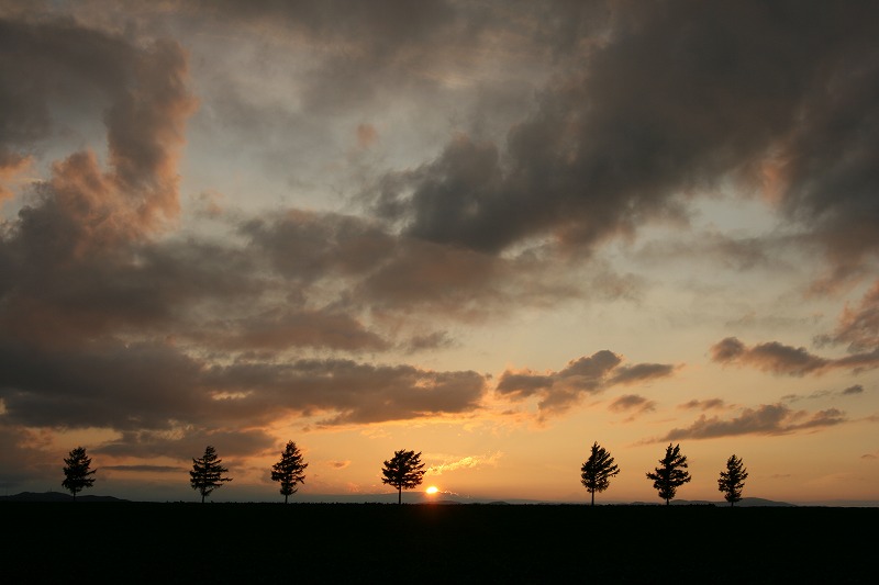 ファイル 168-3.jpg