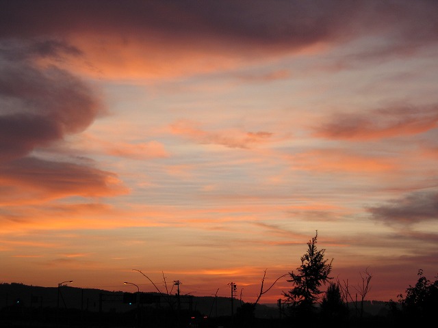 ファイル 171-1.jpg