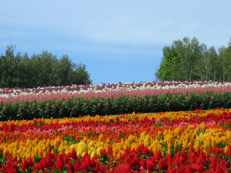 ファイル 173-3.jpg