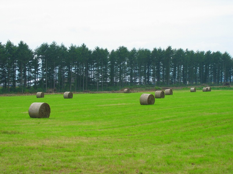 ファイル 174-2.jpg