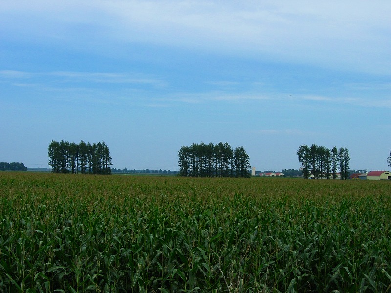 ファイル 174-3.jpg