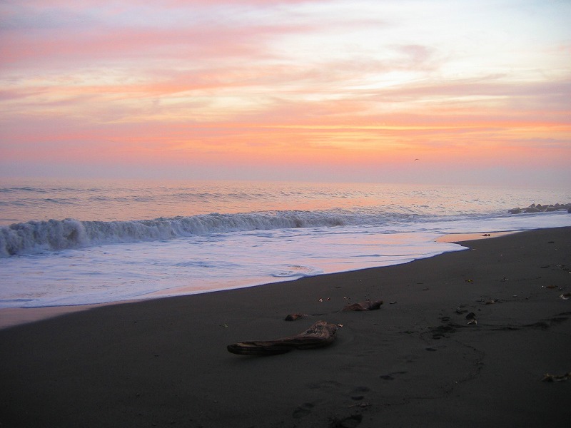 ファイル 175-1.jpg