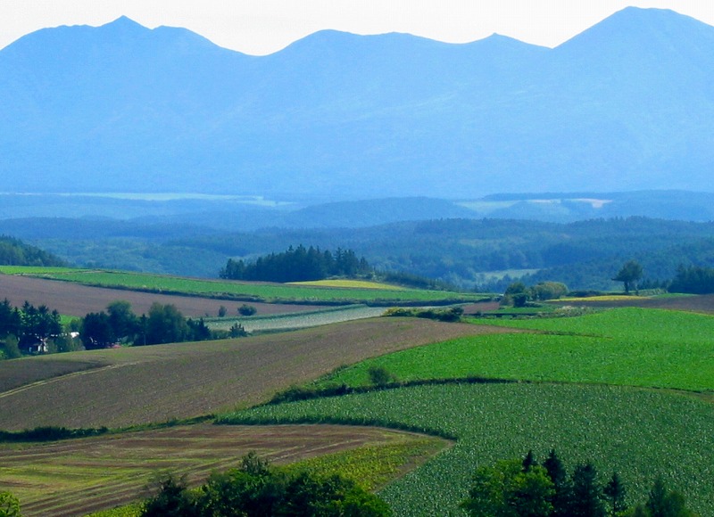 ファイル 176-1.jpg