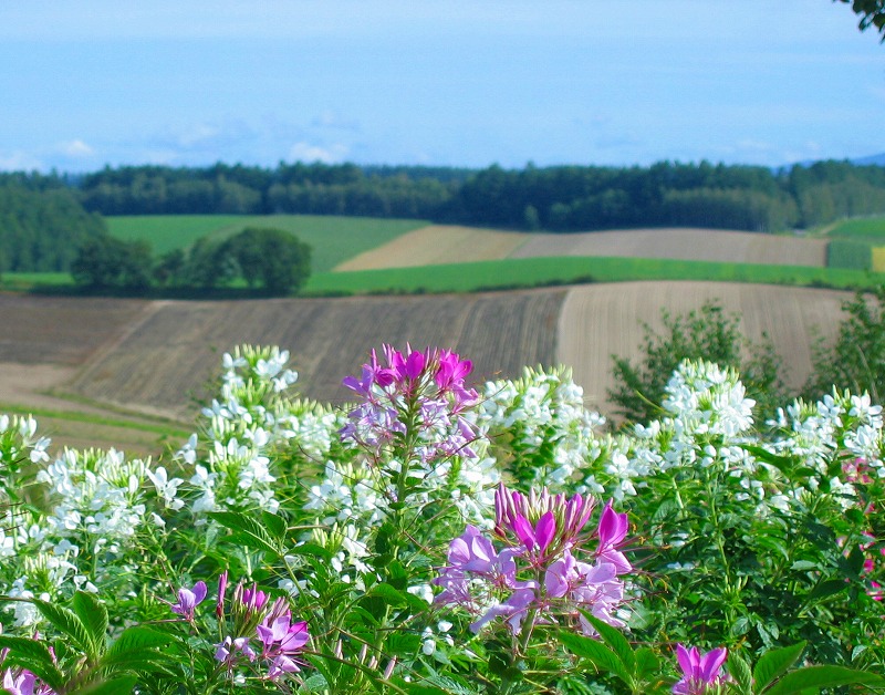 ファイル 176-2.jpg