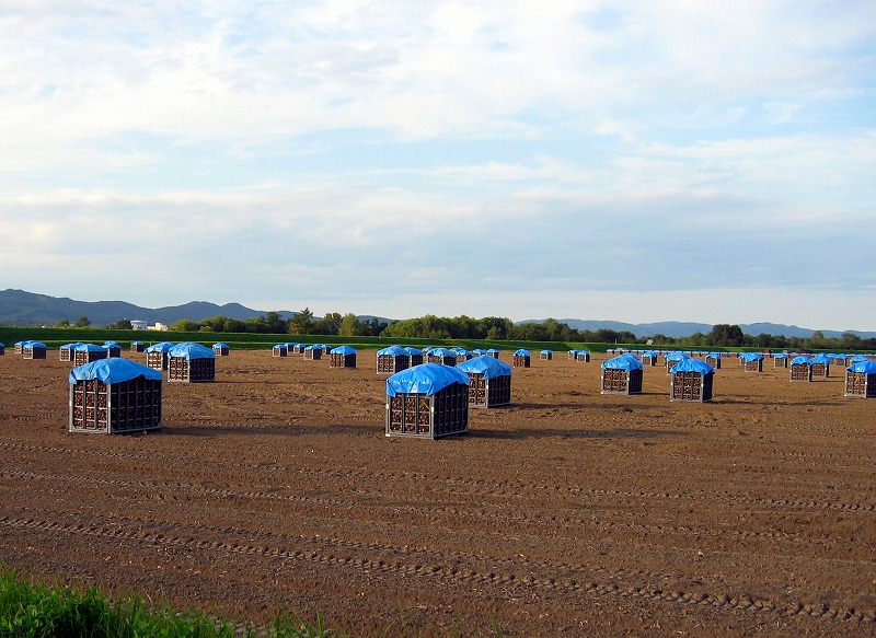 ファイル 177-1.jpg