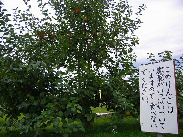 ファイル 181-2.jpg