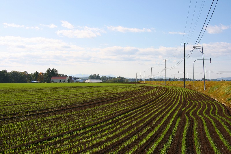 ファイル 182-1.jpg