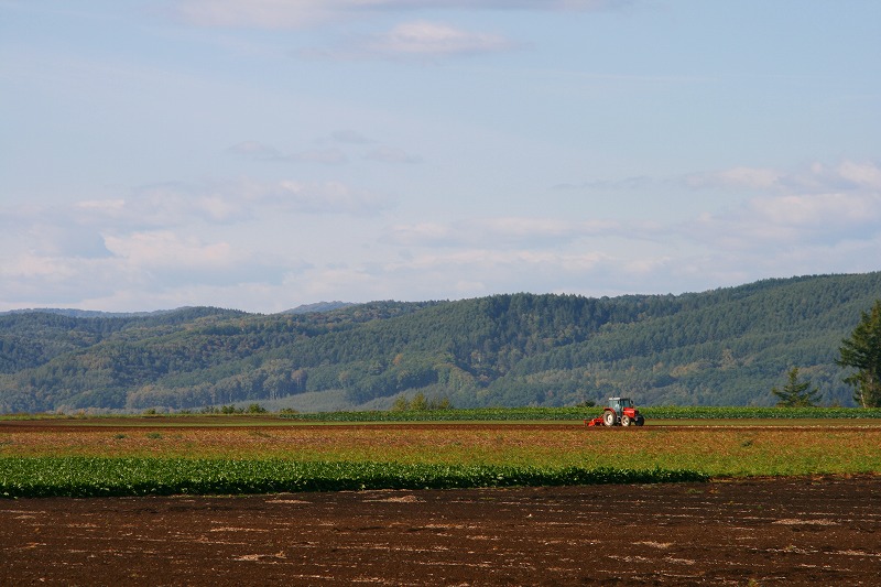 ファイル 182-2.jpg