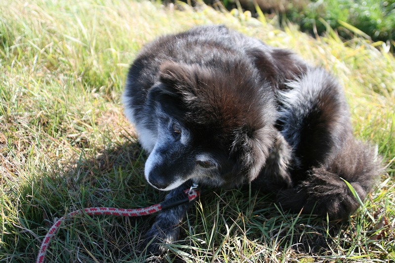 ファイル 182-3.jpg