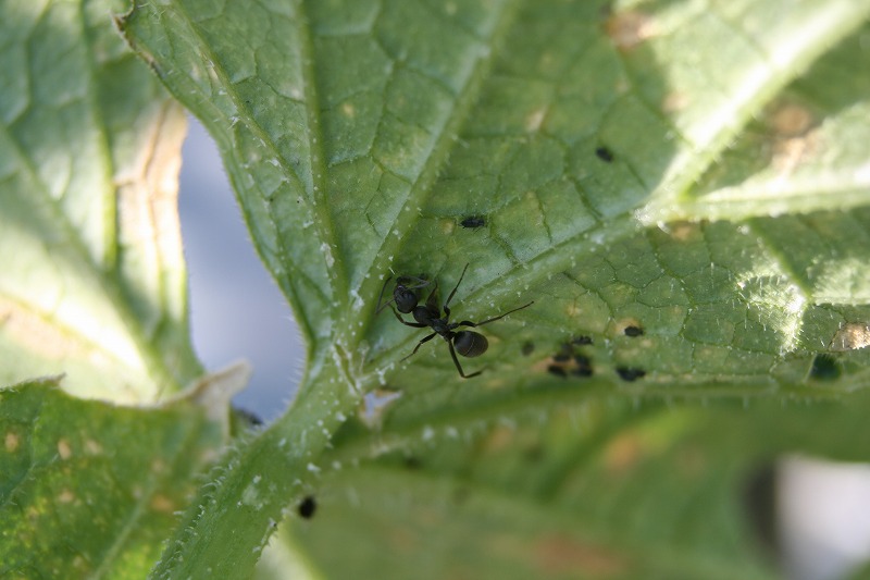 ファイル 183-2.jpg