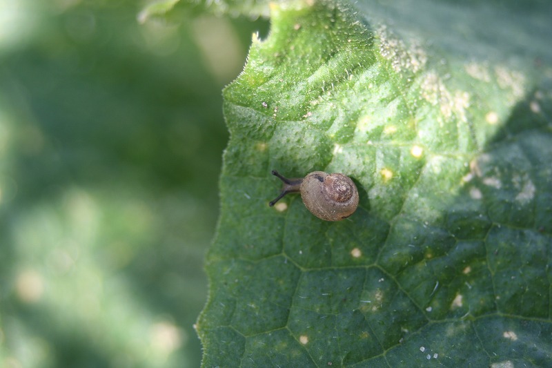 ファイル 183-3.jpg