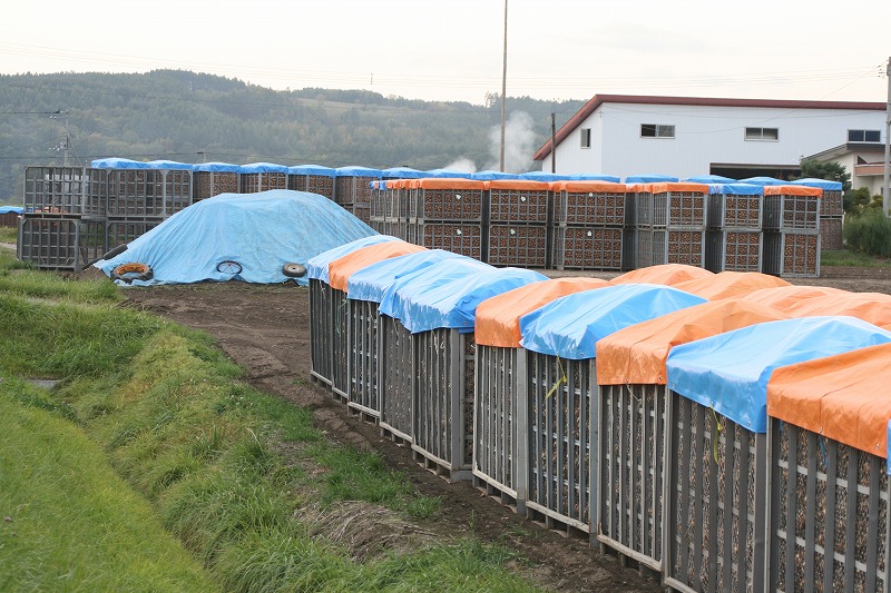 ファイル 185-2.jpg