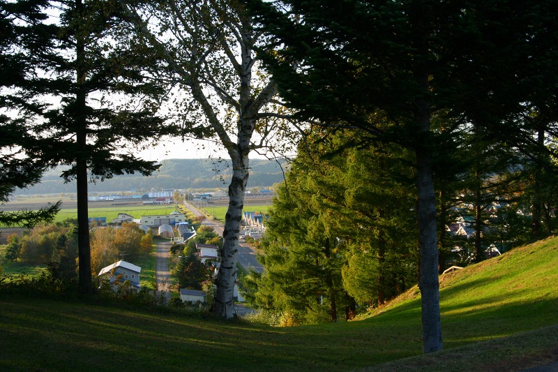 ファイル 189-1.jpg