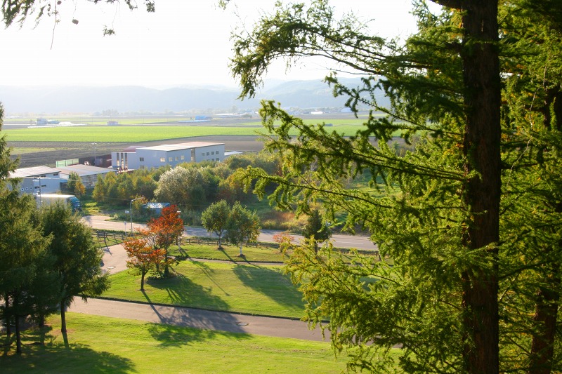 ファイル 189-2.jpg