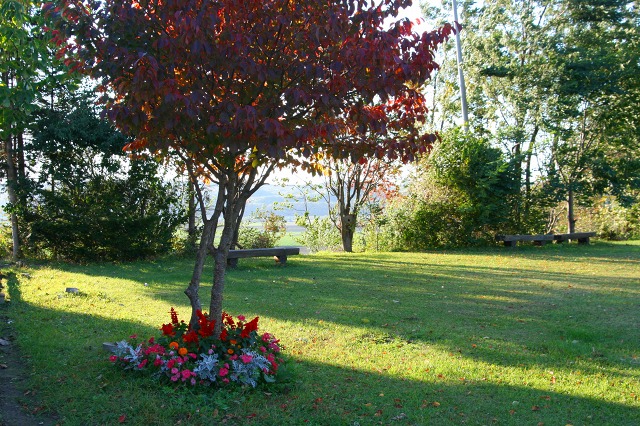 ファイル 189-3.jpg