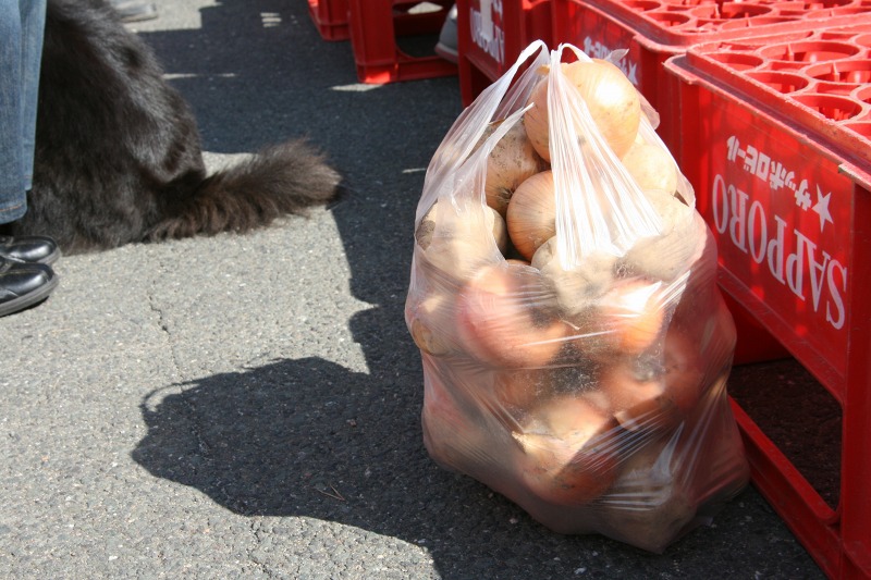 ファイル 190-1.jpg