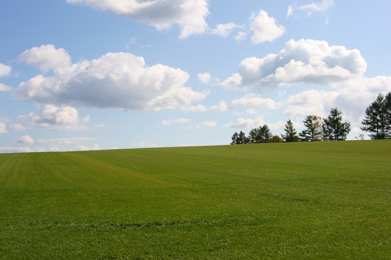 ファイル 190-2.jpg