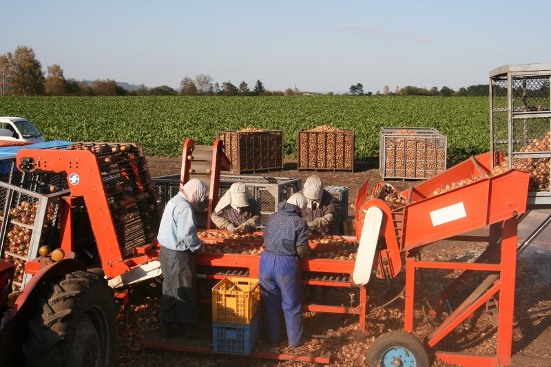 ファイル 192-1.jpg