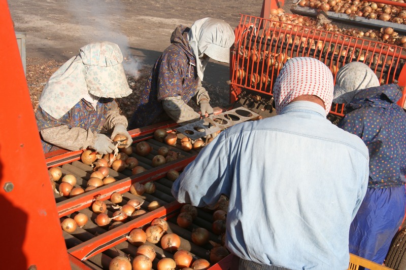 ファイル 192-2.jpg