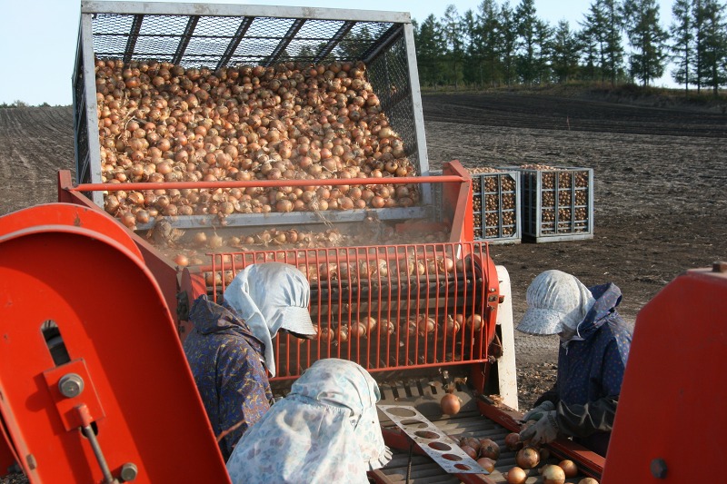 ファイル 192-3.jpg