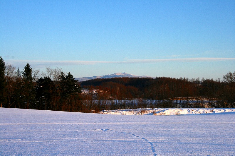 ファイル 43-4.jpg