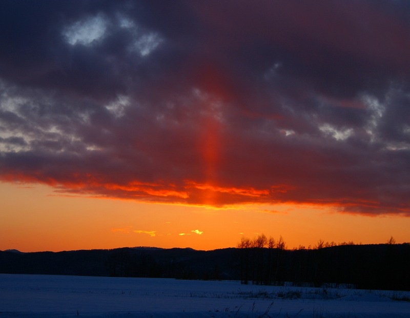 ファイル 43-5.jpg