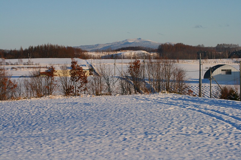 ファイル 44-2.jpg