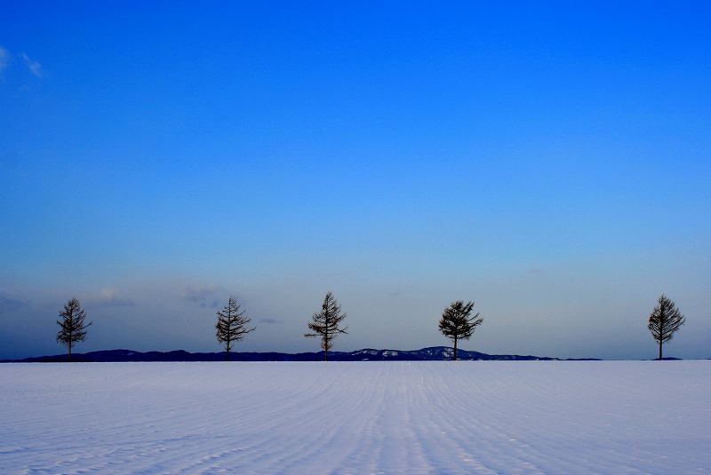 ファイル 45-1.jpg