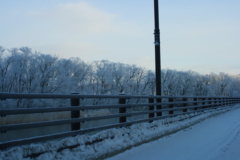 ファイル 45-2.jpg