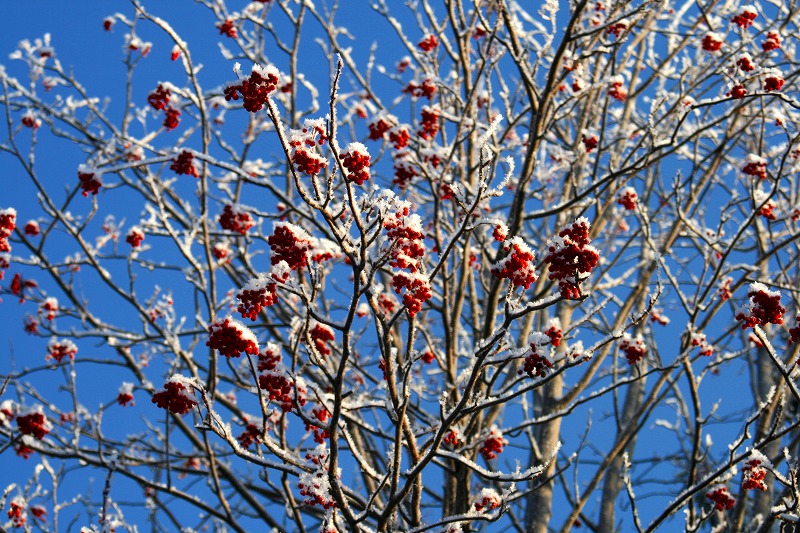 ファイル 45-3.jpg