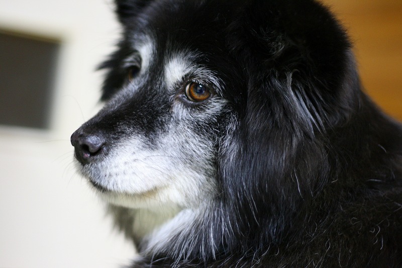 ファイル 46-1.jpg