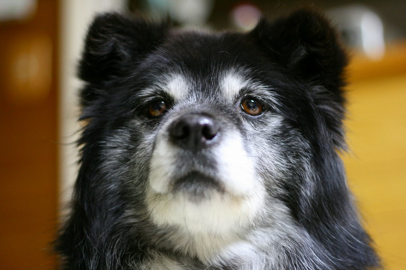 ファイル 46-2.jpg